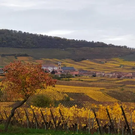Daire Le Bubele Au Coeur Du Centre Medieval Et Vignoble