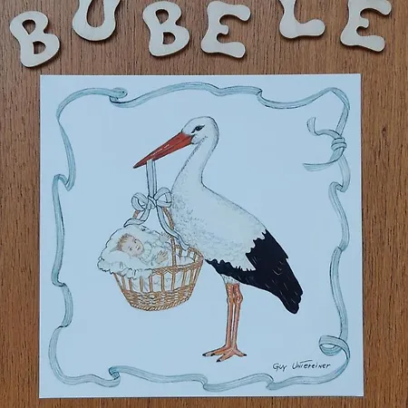Le Bubele Au Coeur Du Centre Medieval Et Vignoble Apartment *